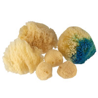 Watercolor sponges