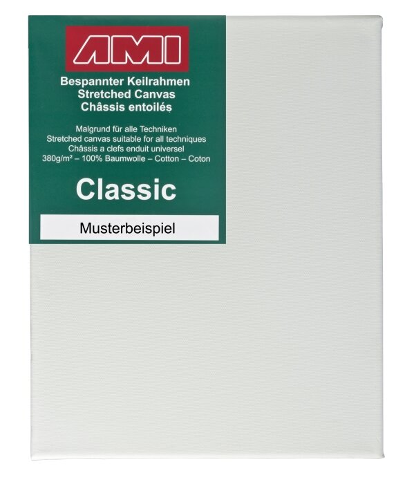 Speed Clean Keilrahmen – Besen & Reinigungssystem 50 X 13 Cm, Polypropylen, Für Feuchtreinigung Mit Wringer-System