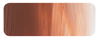 DM Studio 120ml Burnt Sienna