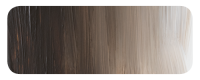 DM Studio 120ml Raw Umber