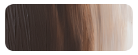 DM Studio 120ml Burnt Umber